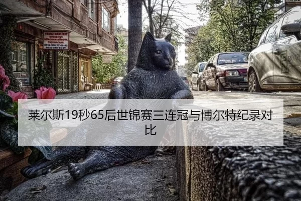 lai-er-si-miao-hou-shi-jin-sai-san-lian-guan-yu-bo-er-te-ji-lu-dui-bi-3-318.jpg